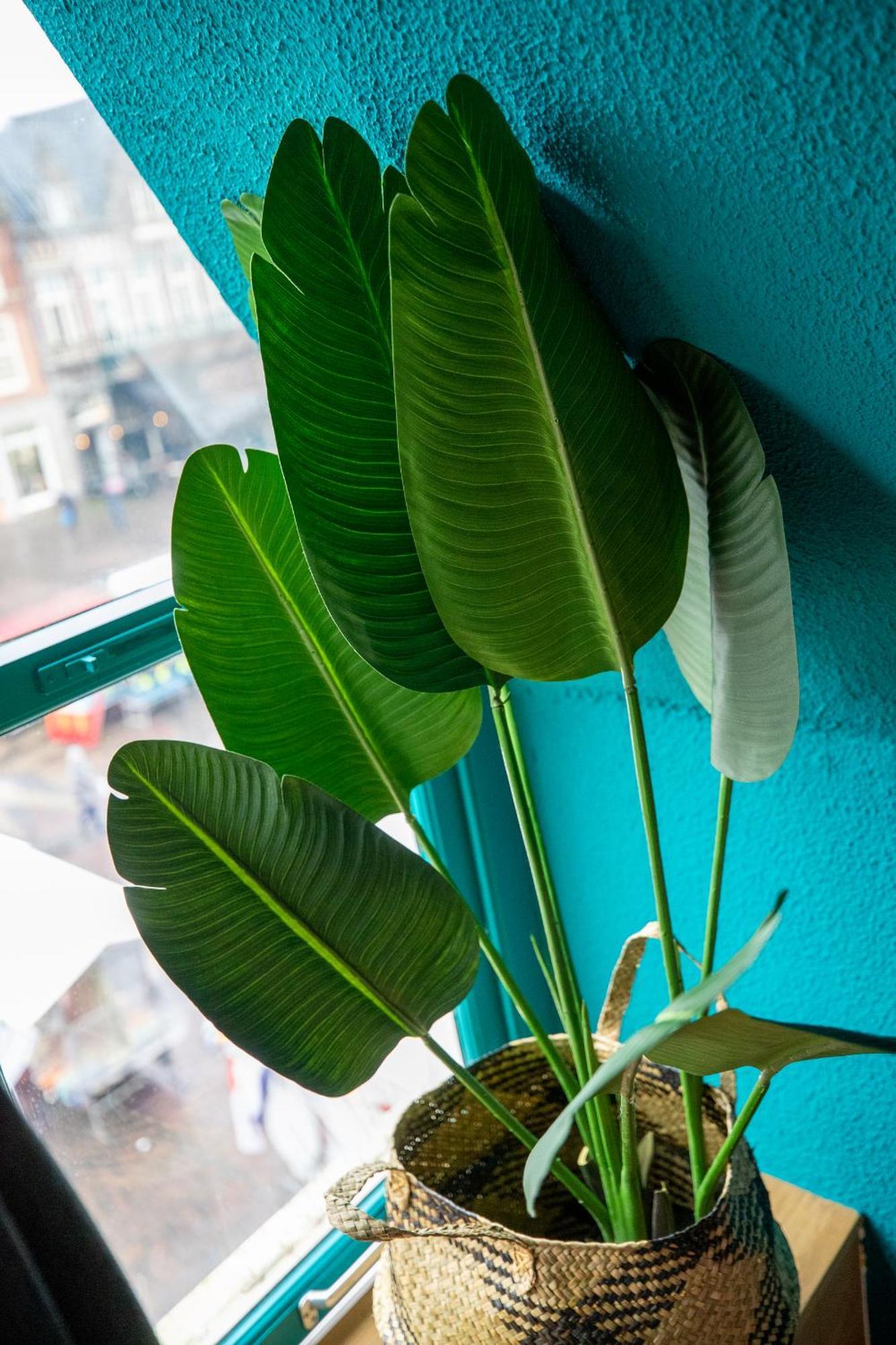 Bambu Sleep Boutique Hotell Haarlem Rum bild